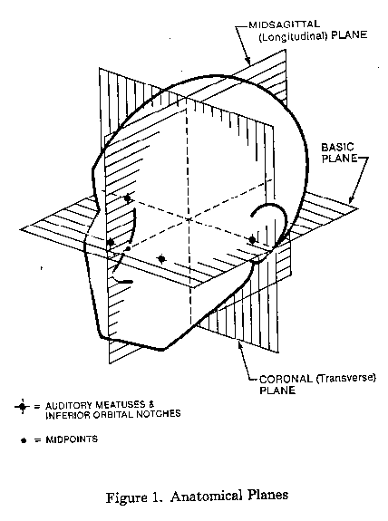 Illustration of anatomical planes