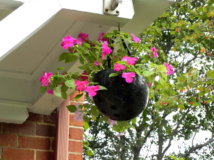 Helmet as flowerpot